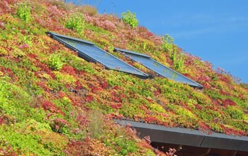 Matlock Cliff living roof systems