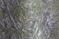 Matlock Cliff fibreglass roof work